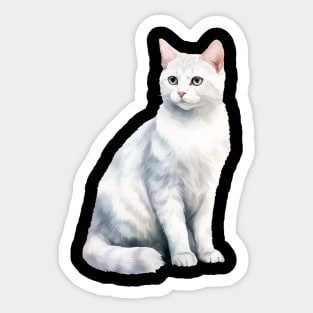 Burmilla Cat Sticker